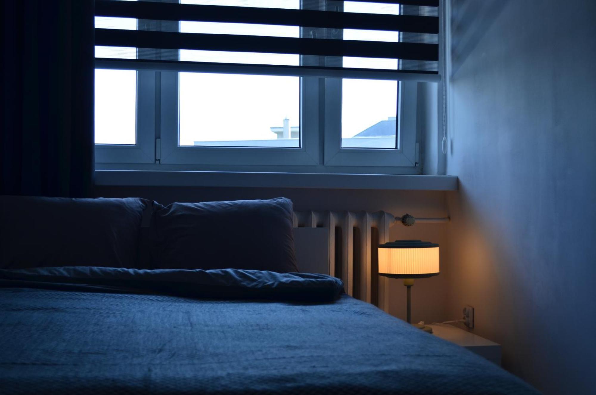 Apartment Silesia Park - Free Parking - Easy Check-In Katowice Esterno foto