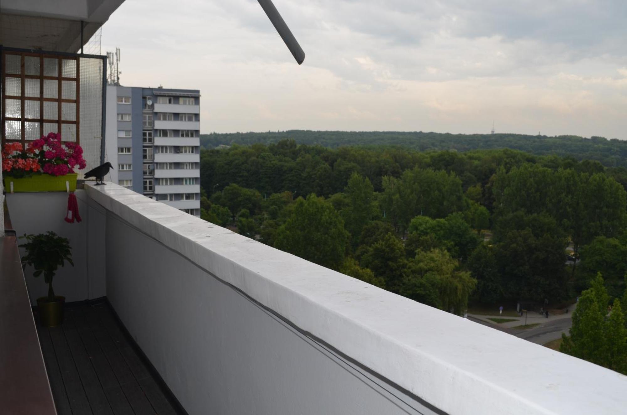 Apartment Silesia Park - Free Parking - Easy Check-In Katowice Esterno foto